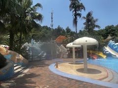 -重庆海昌加勒比海水世界