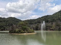 -广州白江湖森林公园