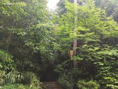 -宝界山林公园