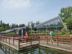 -成飞公园
