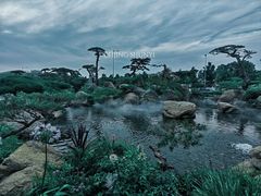 -罗红摄影艺术馆