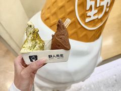 -野人先生现做冰淇淋(深圳壹方城店)