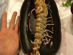 -鲜入围煮花胶鸡海鲜火锅