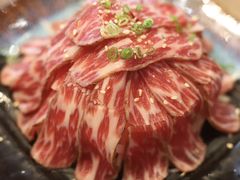 -千寻本居