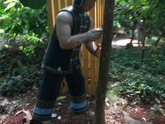 -北京呀路古热带植物园