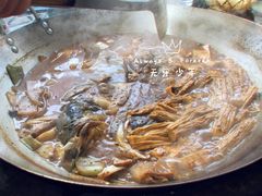 柴锅炖水库鱼-姥家大锅台水库渔家