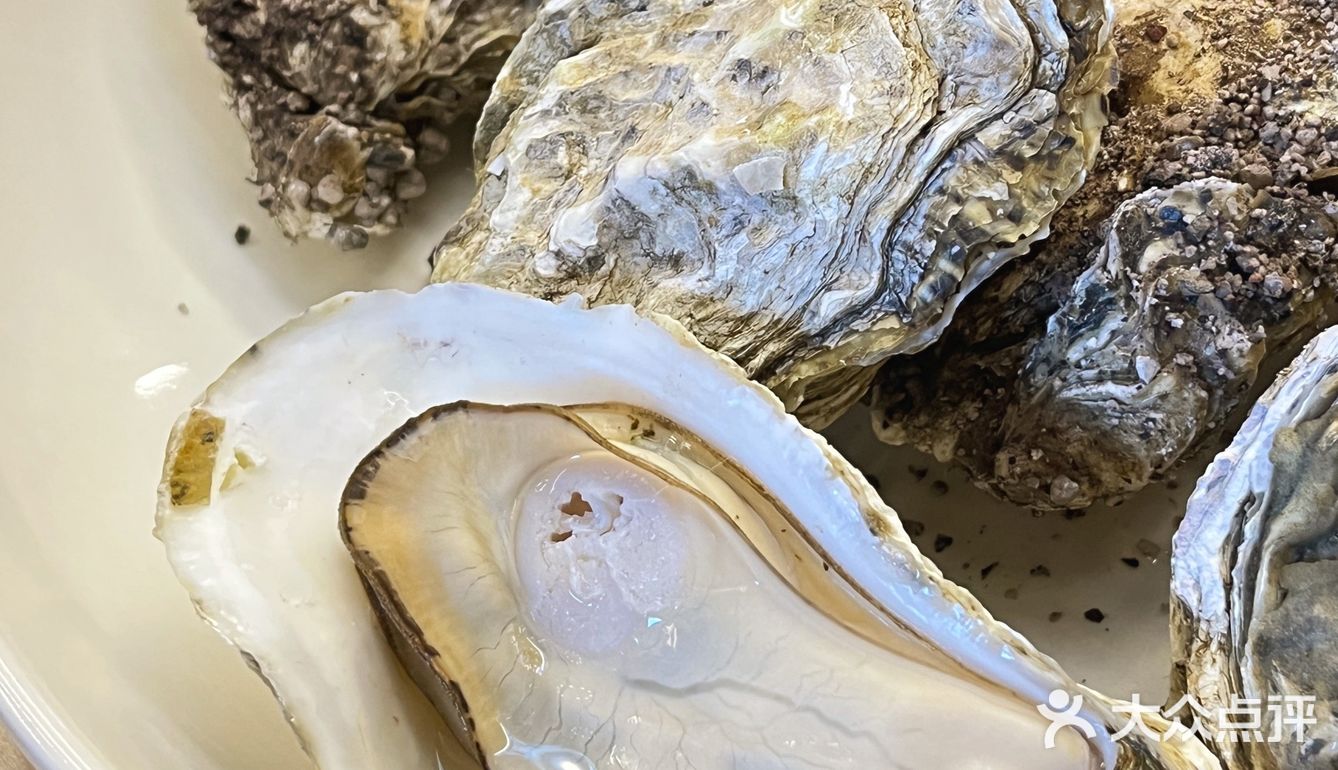 沉浸式剥蚝 | 港口路温馨的生蚝小店