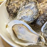 沉浸式剥蚝 | 港口路温馨的生蚝小店