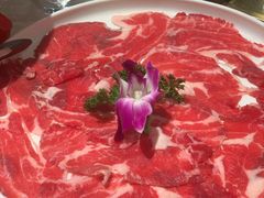 -红鼎坊·老成都火锅(新南门店)