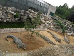 -石家庄市动物园