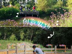 -前小桔亲子创意农场·草莓采摘·露营烧烤