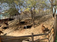 -北京鹿世界主题园