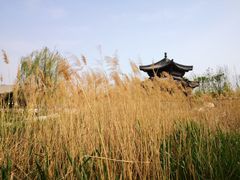 -水西公园