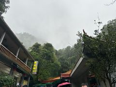 -鼎湖山风景区