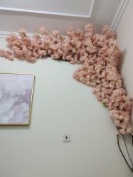 -VE专注问题肌·赛诺龙&科学美肤中心
