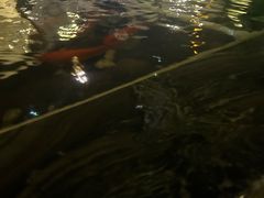 -悦慕·花满溪(新城吾悦店)