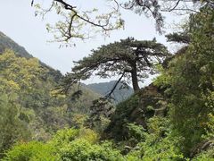 -泰山风景名胜区