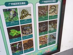 -火炉山森林公园