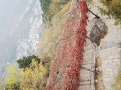 -香山公园