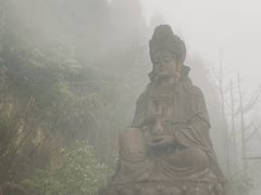 -武陵山森林公园