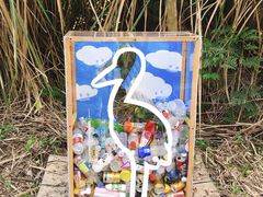 -华侨城湿地公园