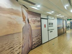 -巴黎春天(浦建店)