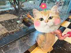 -童趣廊(长隆熊猫酒店)