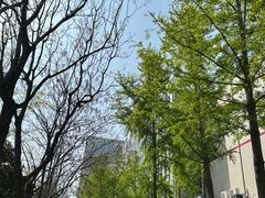 -威海铂丽斯国际大酒店(威海高铁站店)
