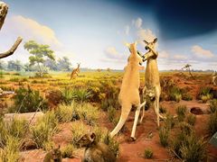 -陕西自然博物馆