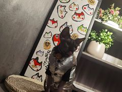 -吉屋烤肉(八宝街店)