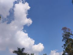 -水濂山森林公园