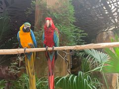 -杭州开元森泊度假乐园