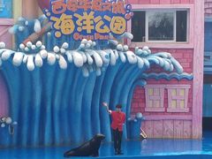 -华夏文旅海洋公园