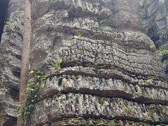 -梭布垭石林景区