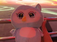 -珠海横琴长隆《卡卡虎奇遇记》