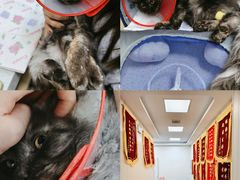 -美联众合爱康动物医院•复杂内科•肿瘤科•牙科•腔镜诊疗中心