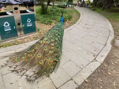 -宁波杭州湾国家湿地公园