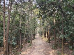 -虞山风景区