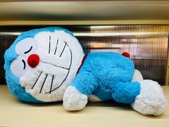 -永旺梦乐城国际商城(北清路店)