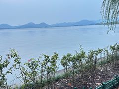 -西湖游船