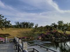 -雅达·阳羡溪山小镇中心