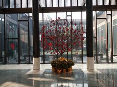 -上海崇明金茂凯悦酒店