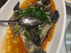 -皇朝尊会(龙之梦大酒店)