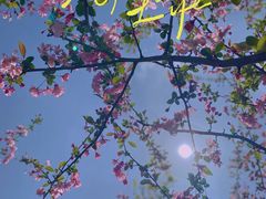-南翔镇银翔湖公园