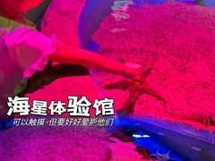 -正佳极地海洋世界