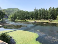 -白河湾生态旅游一条川