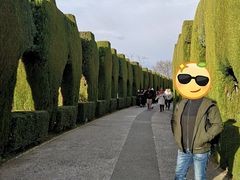 -阿尔罕布拉宫