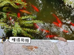 -中山公园