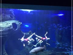 -多彩贵州城极地海洋世界