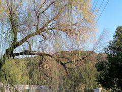 -东坡赤壁风景名胜区